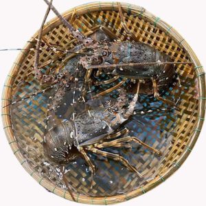 sản phẩm 1